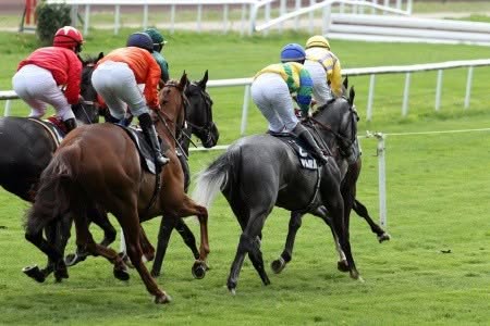Racing Trips